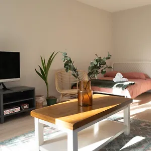 Studio Cabin In Belfast